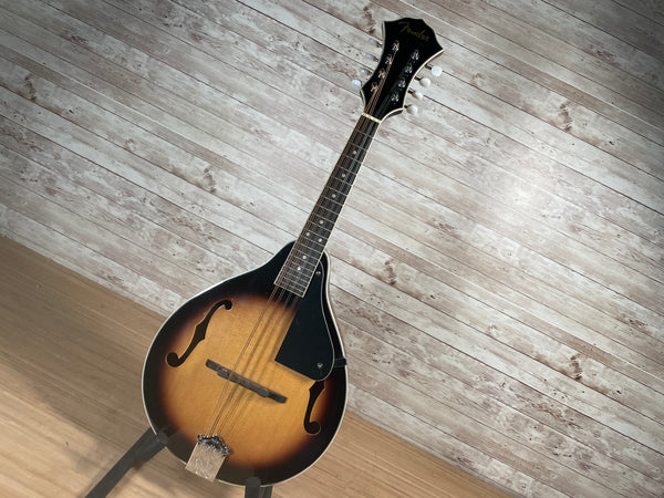 Fender CT-100 Mandolin Used