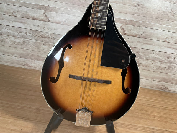 Fender CT-100 Mandolin Used