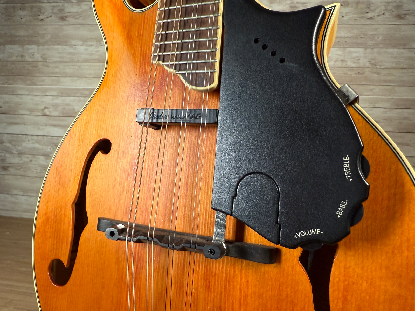 Epiphone MM-50E エレキ マンドリン エピフォン ハードケース Epiphone MM-50E エレキ マンドリン エピフォン ハードケース