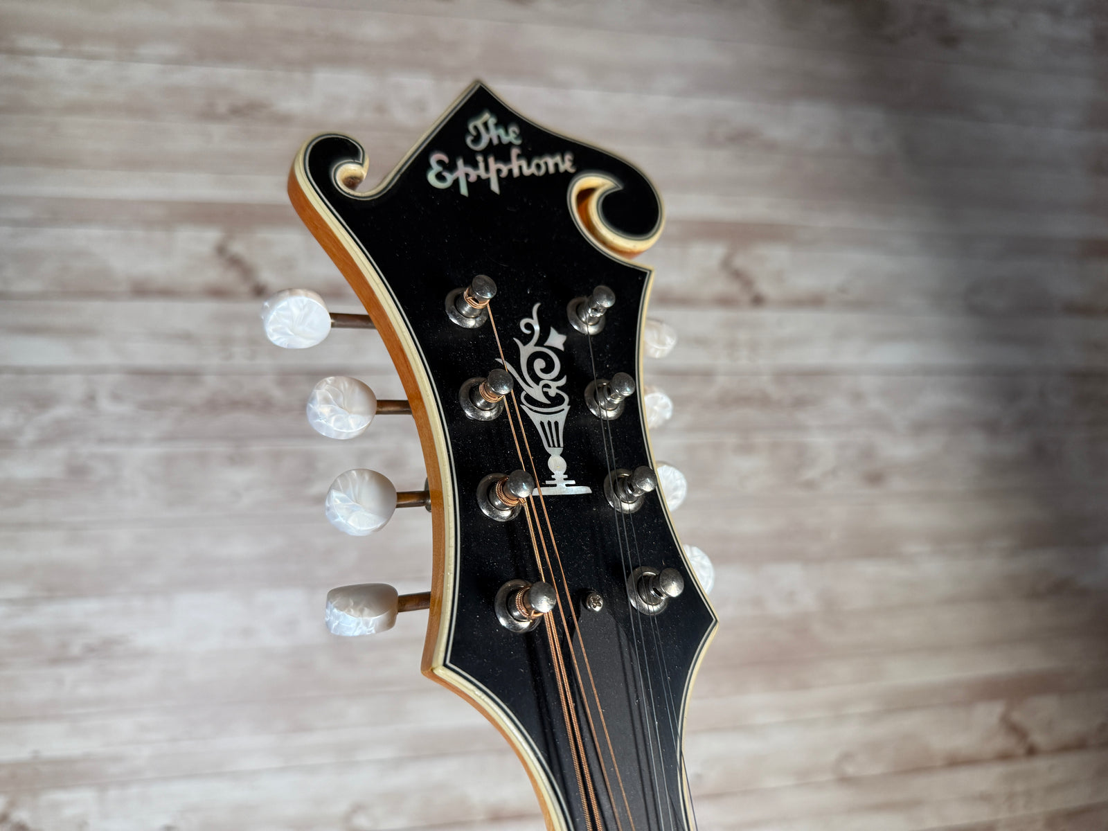 Epiphone MM-50E エレキ マンドリン エピフォン ハードケース Epiphone MM-50E エレキ マンドリン エピフォン ハードケース