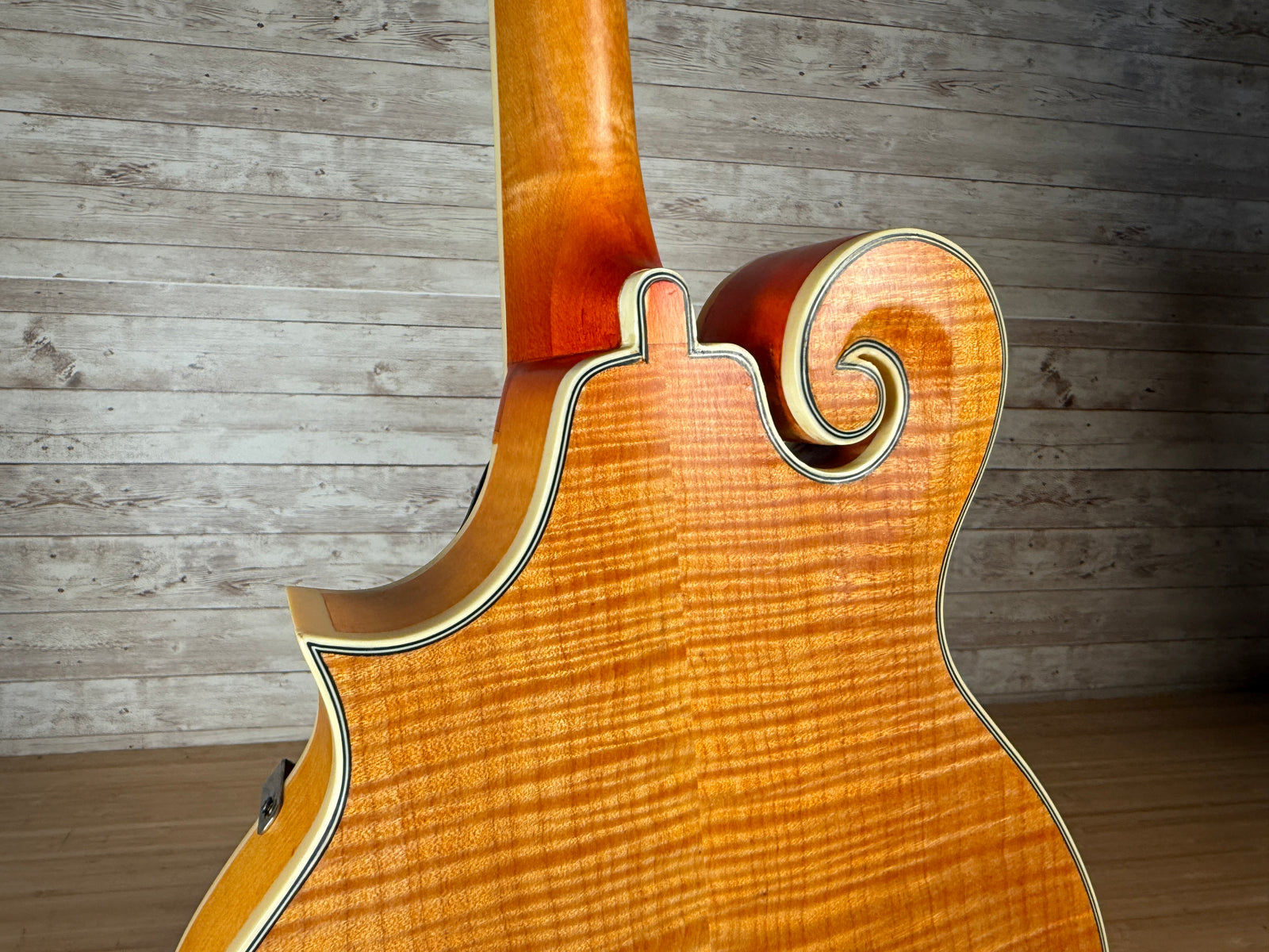 Epiphone MM-50E F-Style Mandolin Used Toronto, ON | Cask Music