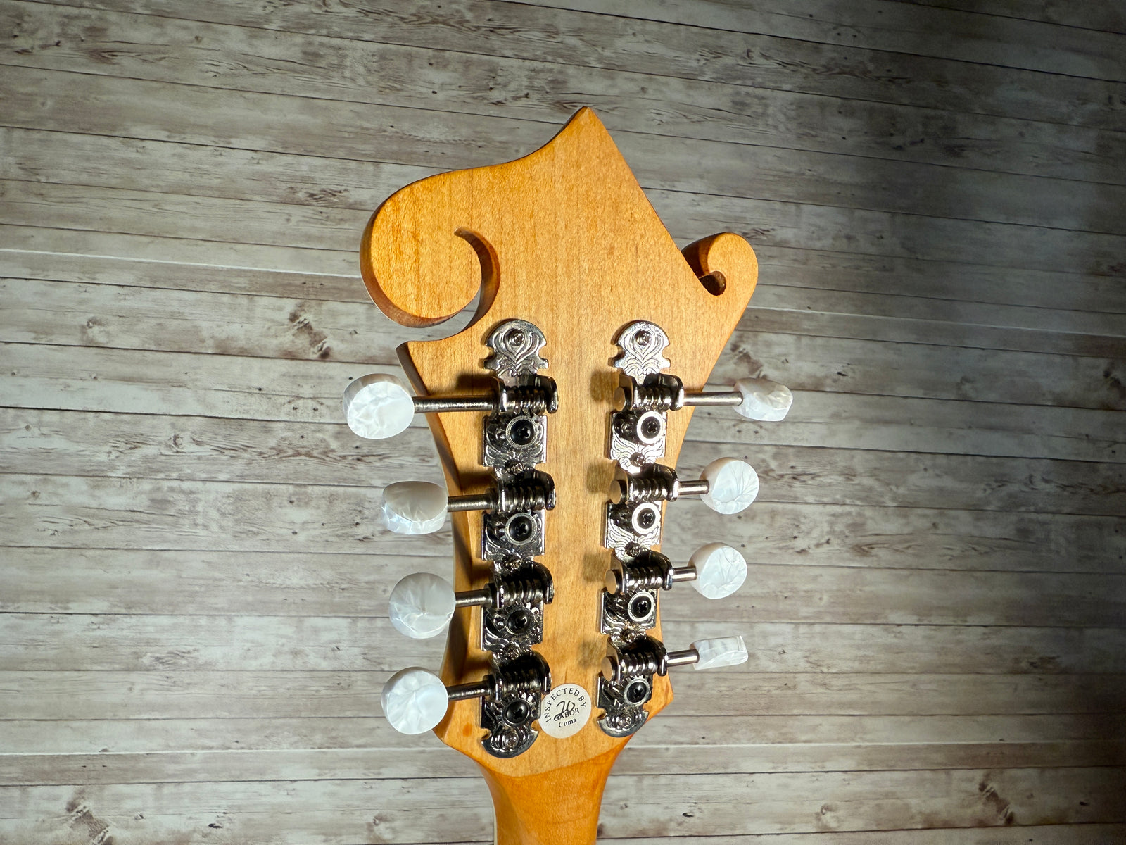 Epiphone MM-50E エレキ マンドリン エピフォン ハードケース Epiphone MM-50E Professional - Vintage Natural Reviews