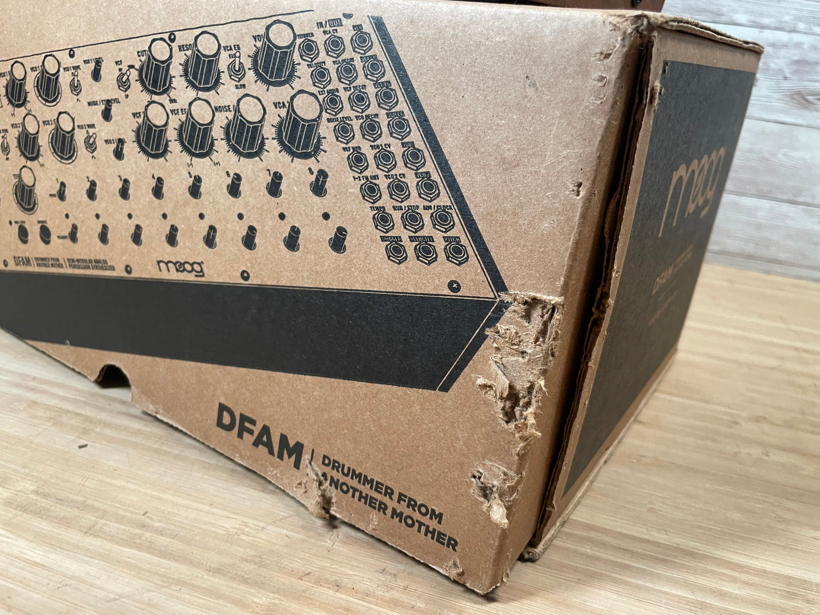 MOOG DFAM 鍵盤楽器 MOOG DFAM(Drummer From Another Mother) Moog