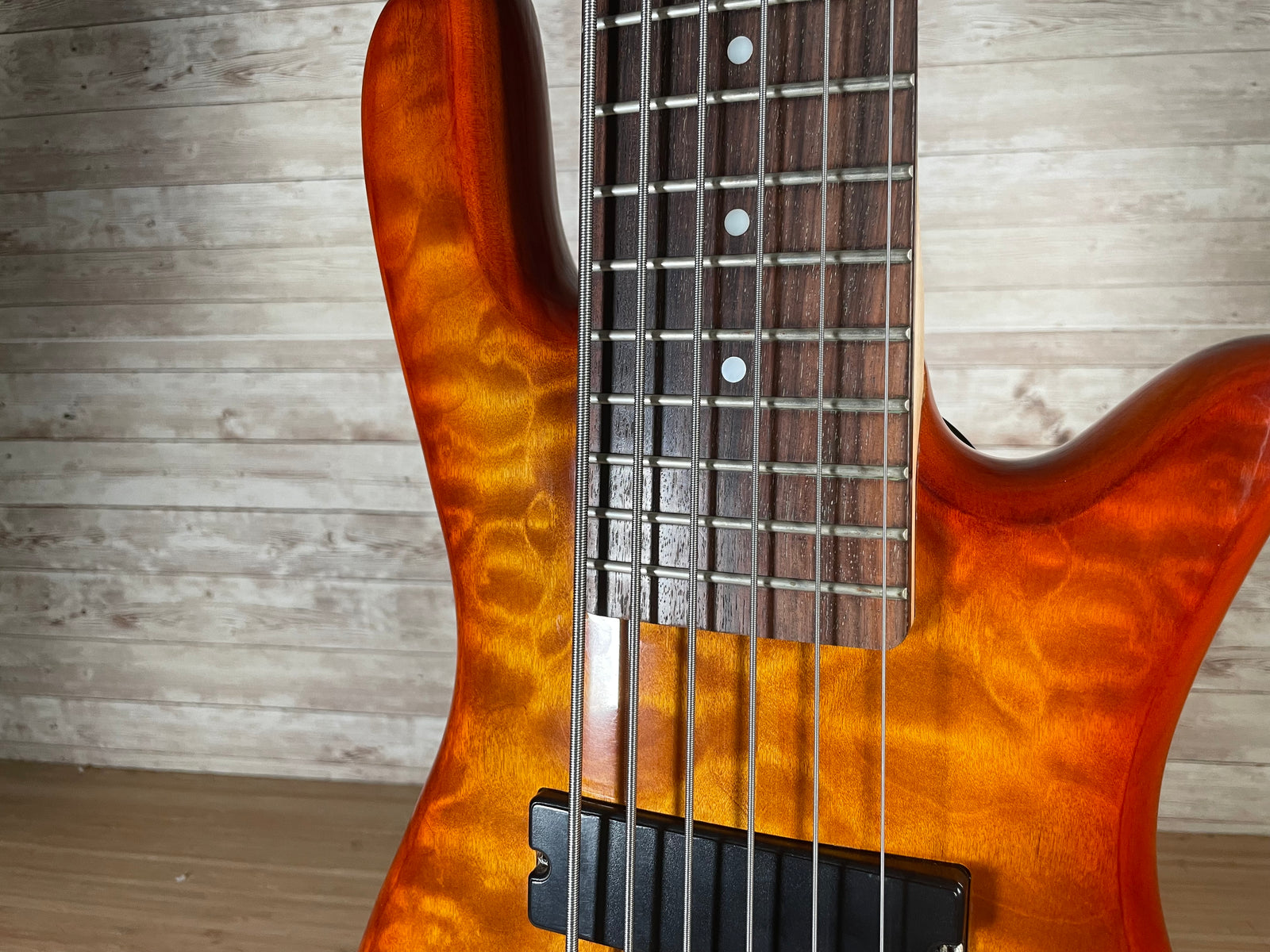 Spector Legend 6-String Bass Toronto, ON | Cask Music
