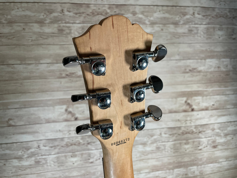 Washburn WI-36 Used