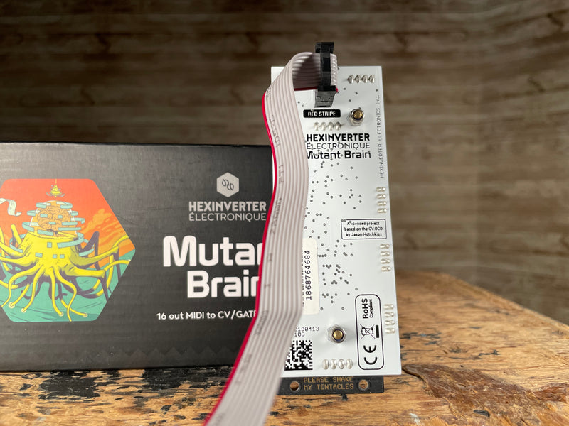 Hexinverter Mutant Brain with Original Box Used