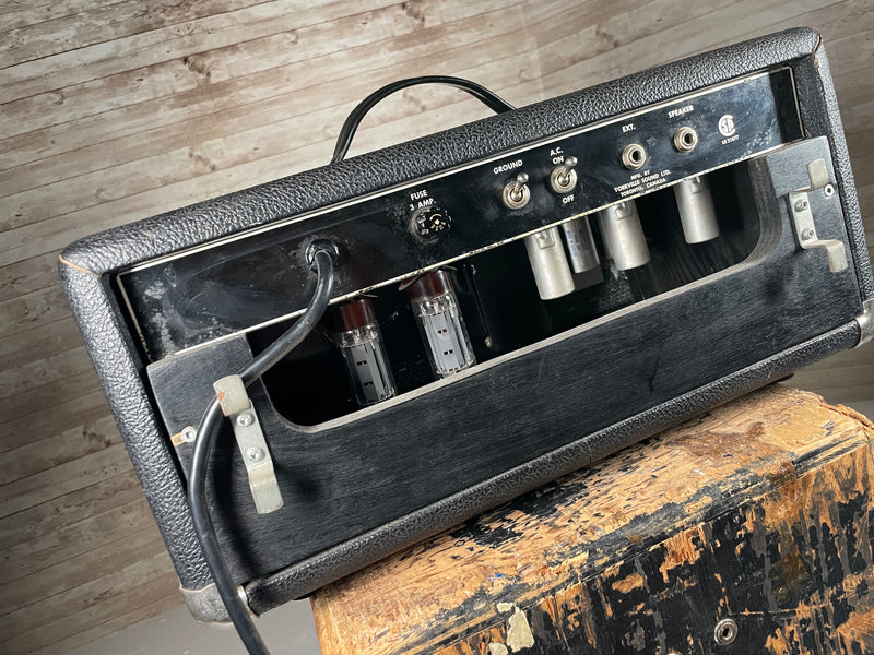 Traynor YBA-1 Bass Master 1960s Used