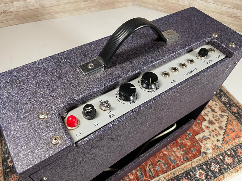 Beltone AP-A 1960s Tube Combo Used