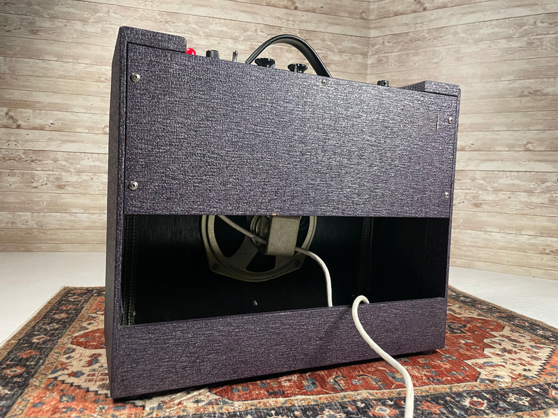 Beltone AP-A 1960s Tube Combo Used