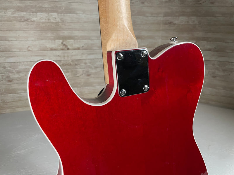 Brown Bear Guitars Boutique Custom Telecaster Used
