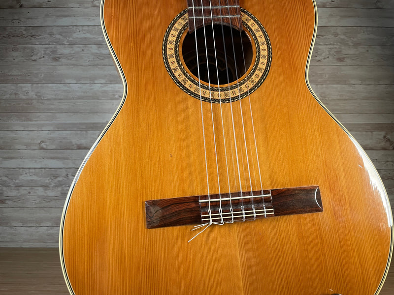 Tres Pinos Model 116 Nylon String Guitar Used