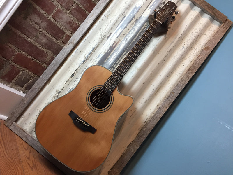 Takamine GD20CE Acoustic/Electric