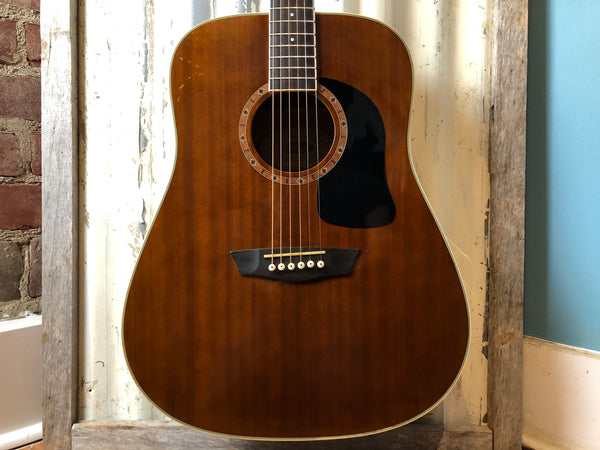 Washburn D100 Dreadnaught