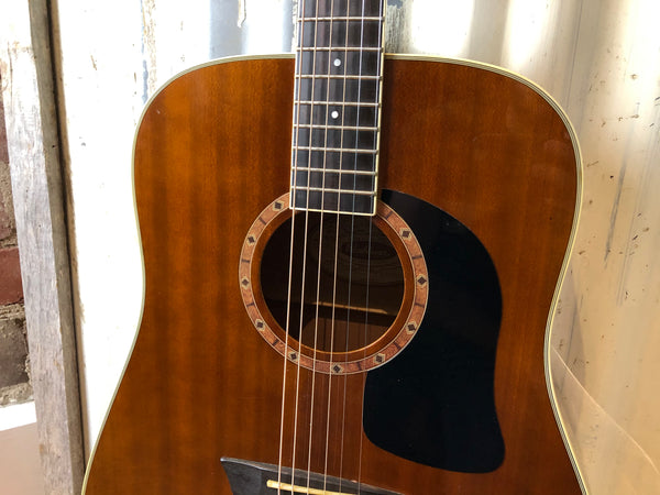 Washburn D100 Dreadnaught