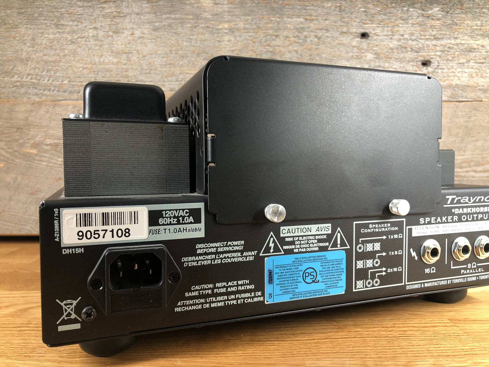 Traynor Dark Horse DH15H Tube Head Toronto, ON | Cask Music