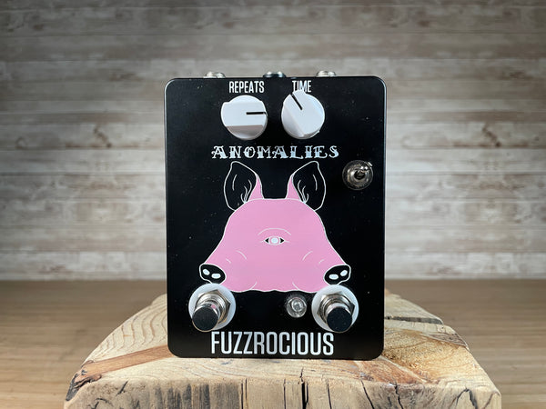 Fuzzrocious Anomalies Delay Used