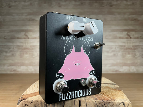 Fuzzrocious Anomalies Delay Used